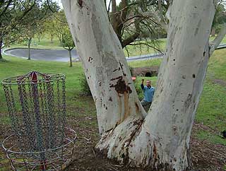 Disc Golf New Zealand